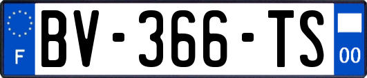 BV-366-TS