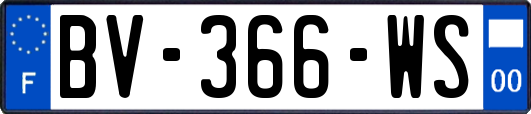 BV-366-WS