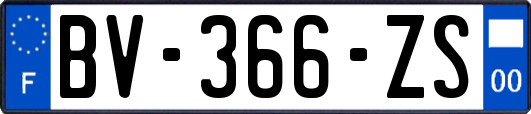 BV-366-ZS