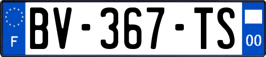 BV-367-TS