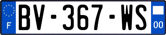 BV-367-WS