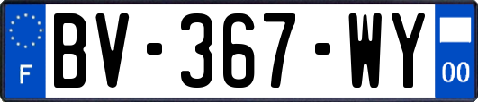 BV-367-WY