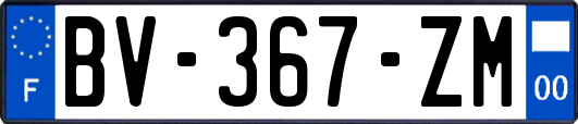 BV-367-ZM