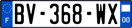 BV-368-WX