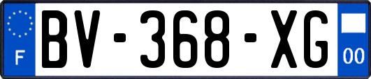 BV-368-XG