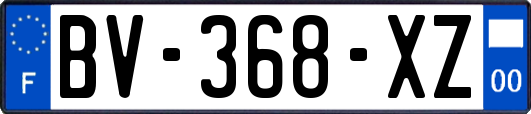 BV-368-XZ