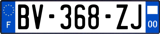 BV-368-ZJ