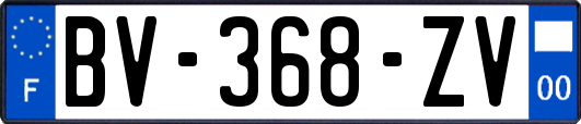 BV-368-ZV