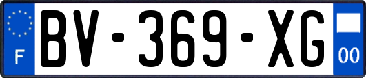 BV-369-XG