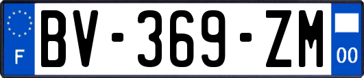 BV-369-ZM