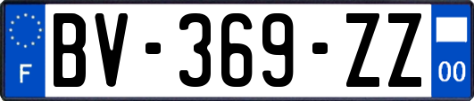 BV-369-ZZ