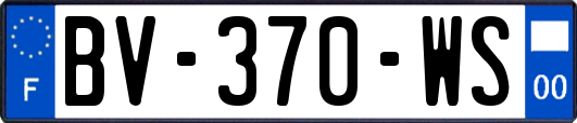 BV-370-WS