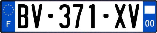 BV-371-XV