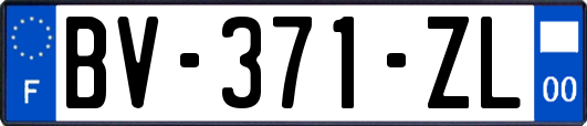 BV-371-ZL