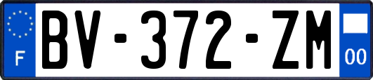 BV-372-ZM