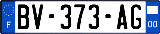 BV-373-AG