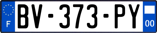 BV-373-PY