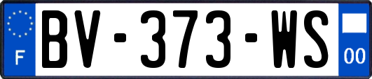 BV-373-WS