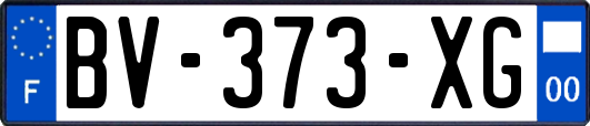 BV-373-XG