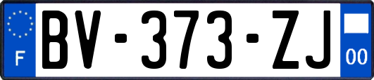 BV-373-ZJ