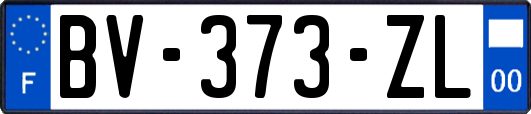 BV-373-ZL