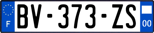 BV-373-ZS