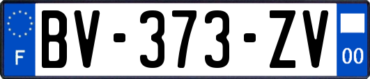 BV-373-ZV