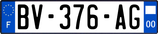 BV-376-AG