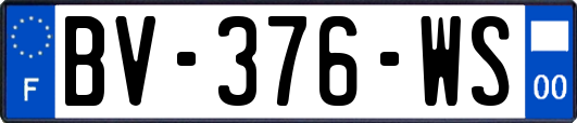 BV-376-WS