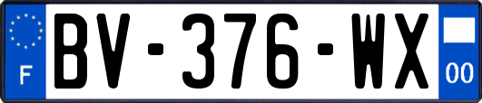 BV-376-WX