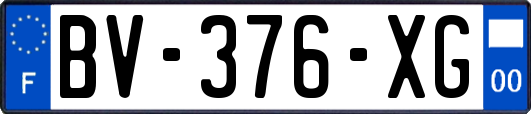 BV-376-XG