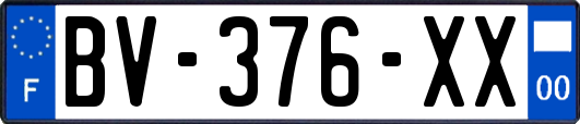 BV-376-XX