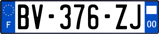 BV-376-ZJ