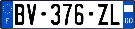 BV-376-ZL