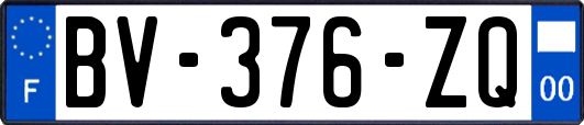 BV-376-ZQ