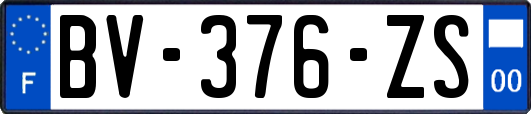 BV-376-ZS