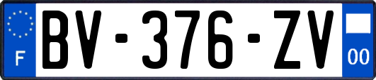 BV-376-ZV