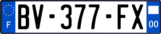 BV-377-FX