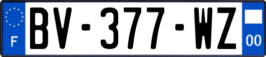 BV-377-WZ