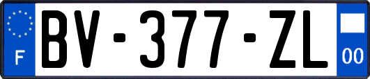 BV-377-ZL