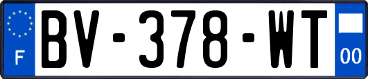 BV-378-WT