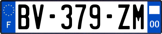 BV-379-ZM