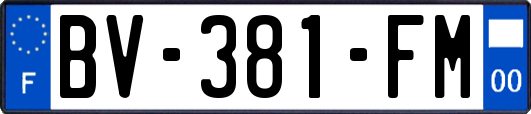 BV-381-FM