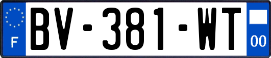 BV-381-WT