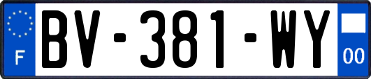 BV-381-WY