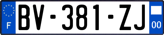 BV-381-ZJ