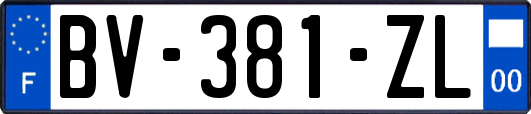 BV-381-ZL