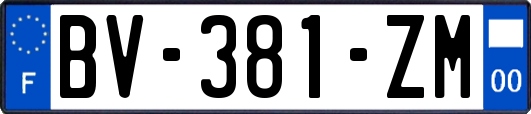 BV-381-ZM