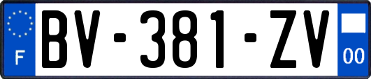 BV-381-ZV