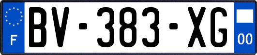 BV-383-XG